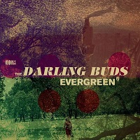 Cover-DarlingBuds-Evergreen.jpg (200x200px)